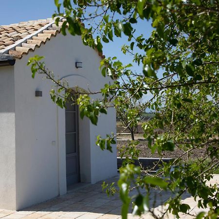 סן סברו Masseria Celentano Relais & Agriturismo מראה חיצוני תמונה